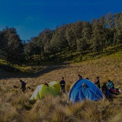 Keindahan Gunung Lawu yang Tidak Mudah berlalu