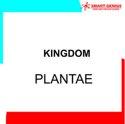 Berikut ini yang merupakan pengertian dari kingdom plantae secara definitif ialah